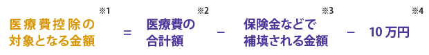 医療費控除の計算式